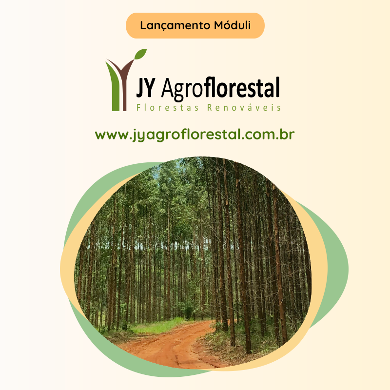 Logotipo JY Agroflorestal com foto de árvores reflorestadas em formato circular.